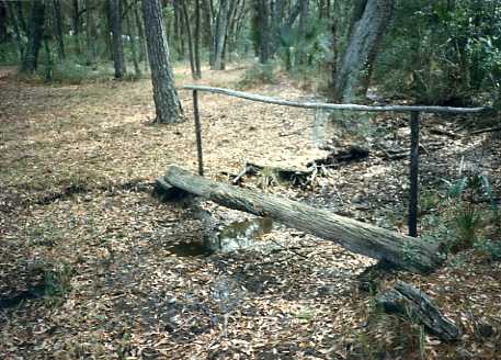 1980 Trail to D. Bruce across ditch.jpg